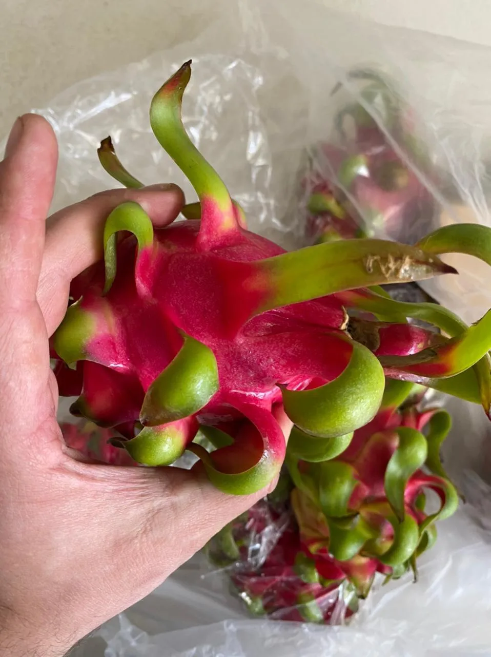 
[Hot] HASU Best Price New Crop Red Dragon Fruit Shipping From Vietnam With High Grade 2021 
