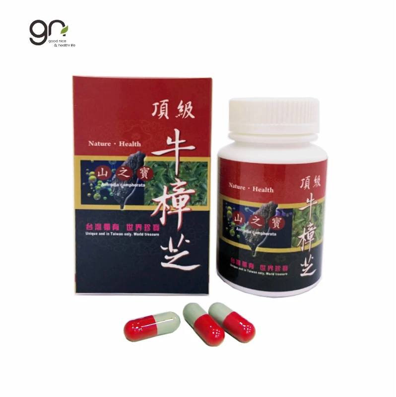 
2021 hot sale made in Taiwan Antrodia powder capsule make healthy care and keep liver energy and improve immunity anti virus 