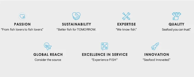 Why choose us.jpg