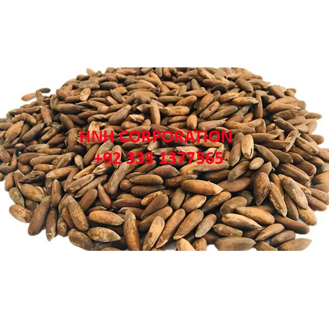 
Pine Nuts in Shell / Roasted Pine Nuts / Roasted Pine nuts Kernels 
