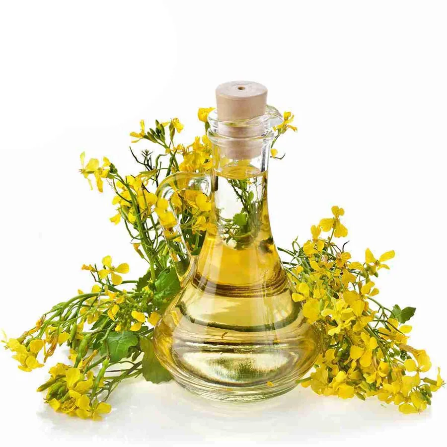 Best supplier of Rapeseed Oil at cheap rate