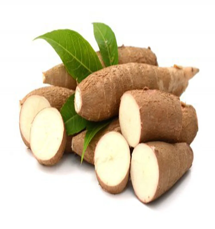 Fresh Cassava In Large Quantity For Market Sale