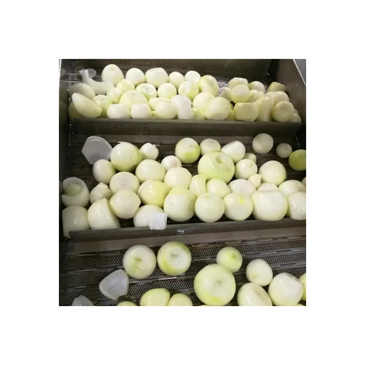 Premium Quality Dry Onion fresh from Farm
