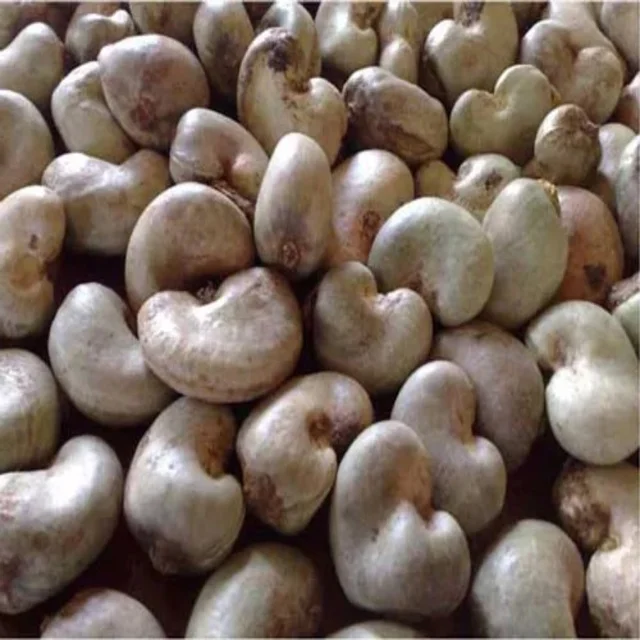 
Food Safety Dried Roasted Raw Cashew Nut with Sweet & Salt Taste Good for Health 