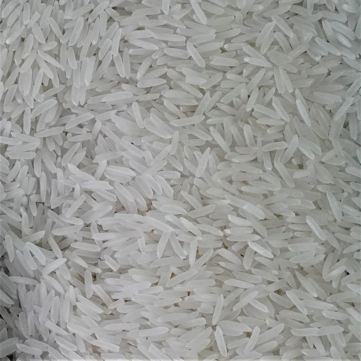 Premium Quality Wholesale ST24 Rice Export Rice Long Grain White From Vietnam Contact us for Best Price