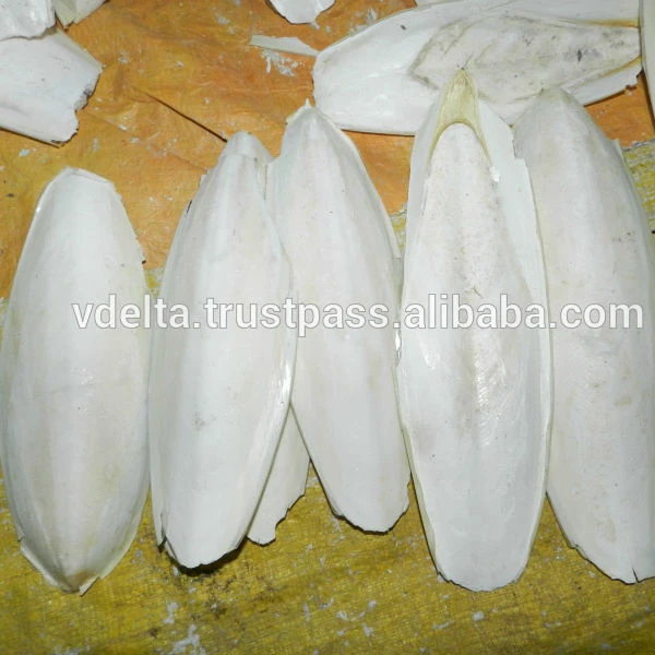 
Cuttle Fish Bone/ High quality / Best price - VICKY +84 90 393 1029 