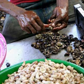 Высококачественный Африканский орех кешью W180 W240 W320 Чистый Натуральный Необработанный органический