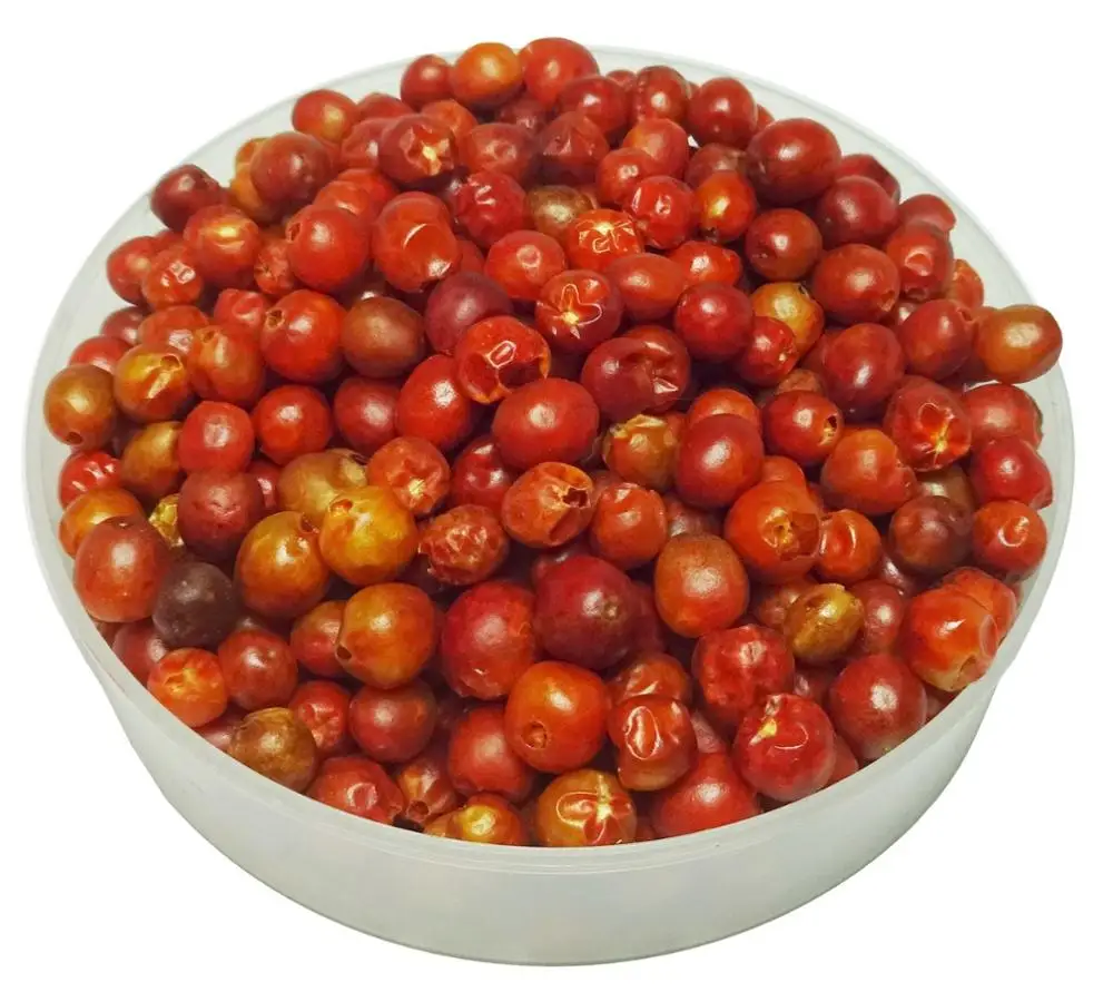 Dried Chiltepin Peppers (Tepin Peppers)