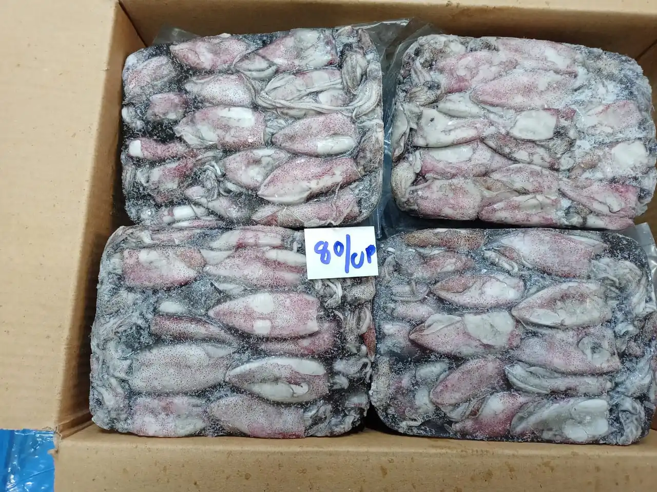 TOP QUALITY FROZEN BABY SQUID BQF FROM INDIA