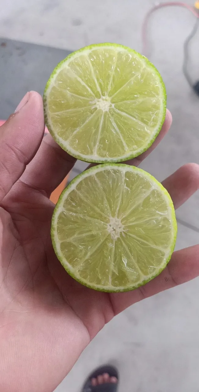 
Supplying frozen lime/lemon juice from Vietnam with best price_Vikafoods (+84983028718) 