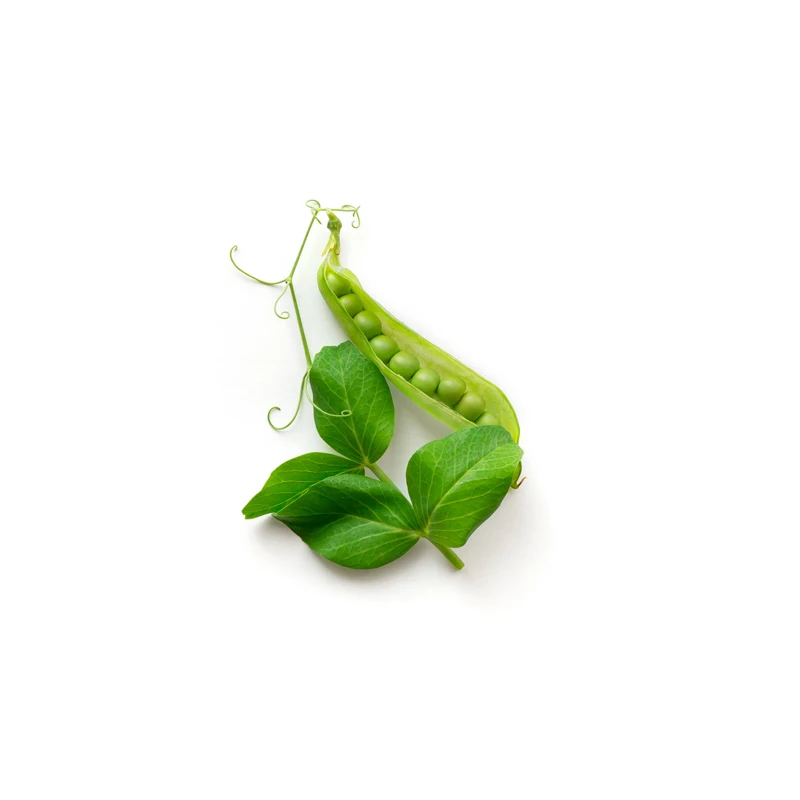 
Good quality green peas in bulk for food production 