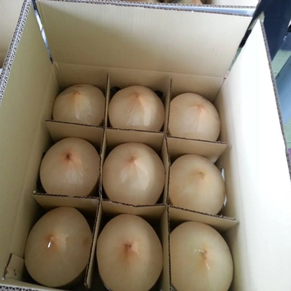 
fresh young coconut price Fruit from Thailand 