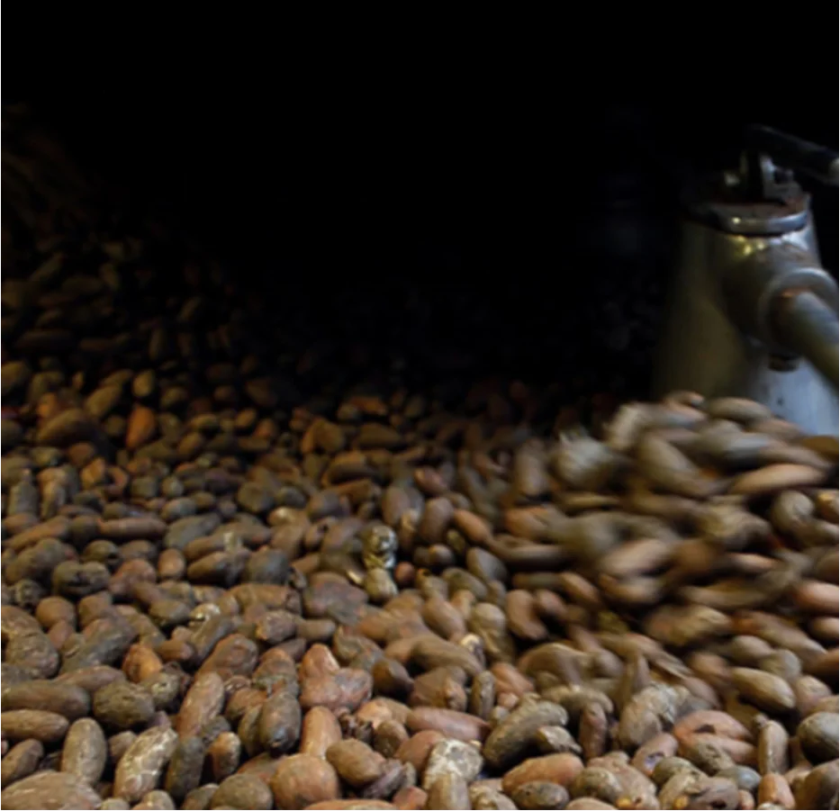 
Top quality Dominican Republic Roasted Cocoa Beans in 160gr bag - Pura Delizia 