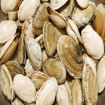 Живые моллюски из компании по производству морепродуктов