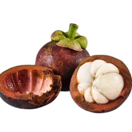 
Fresh Fruit With Good Price 2021 - Mangosteen Fruit Sweet Taste 