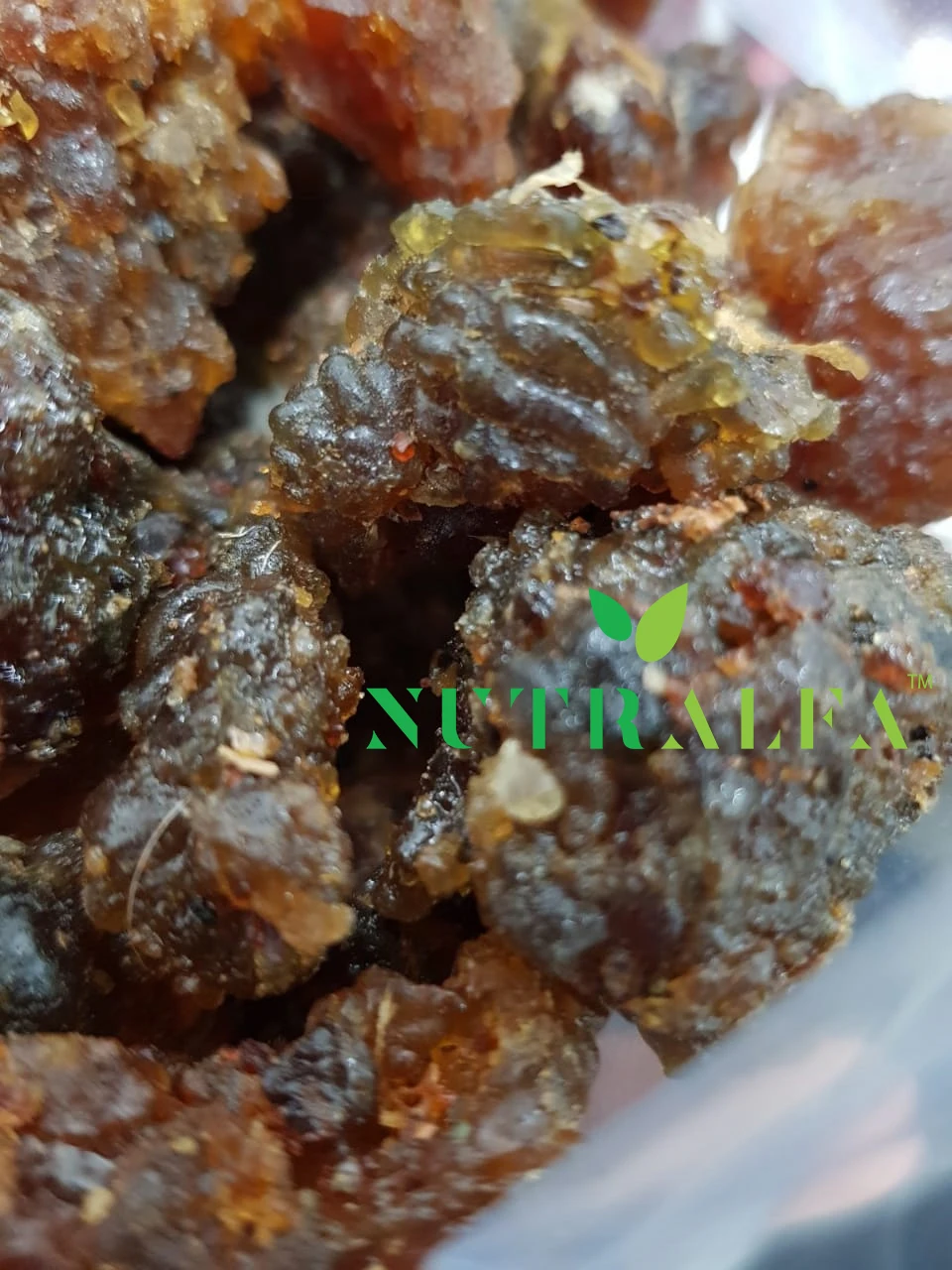 Gum Guggul Pure Grade for Extract - High Guggalsterones E & Z Count