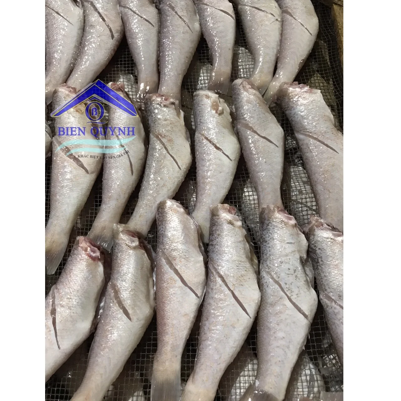 Best selling Delicious Seafood Frozen Nature Air-dried Body Part Dried Horsehead Fish For Sauce/Fry from Vietnam for Sale