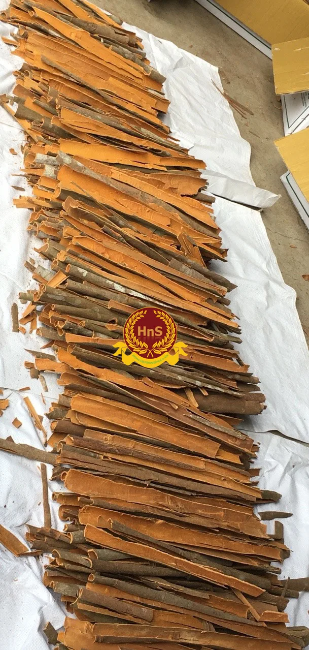 
Cassia Wholesale Cinnamon Cassia Low Price And High Quality High Oil Dried Cassia 