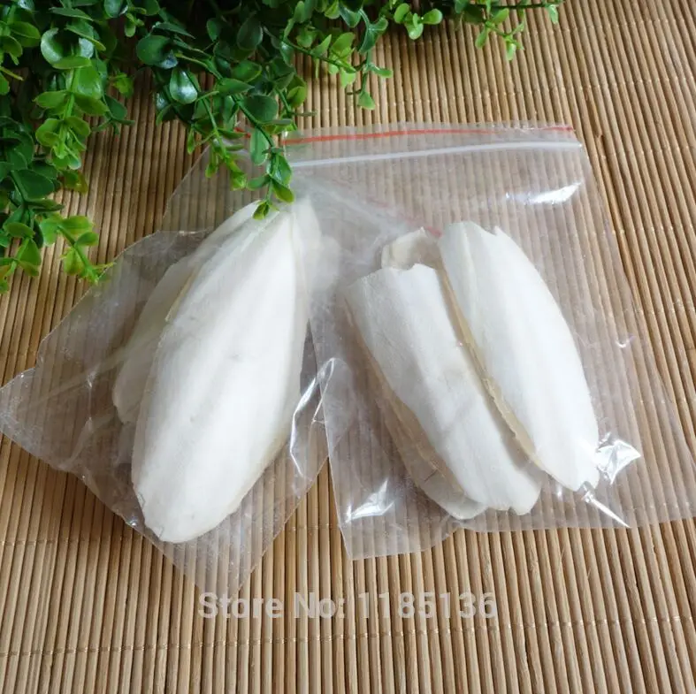 
Animal food in bulk // Wholesale pure cuttlefish bone cuttle fish bone cuttlebone for bird/ +84 396986490 