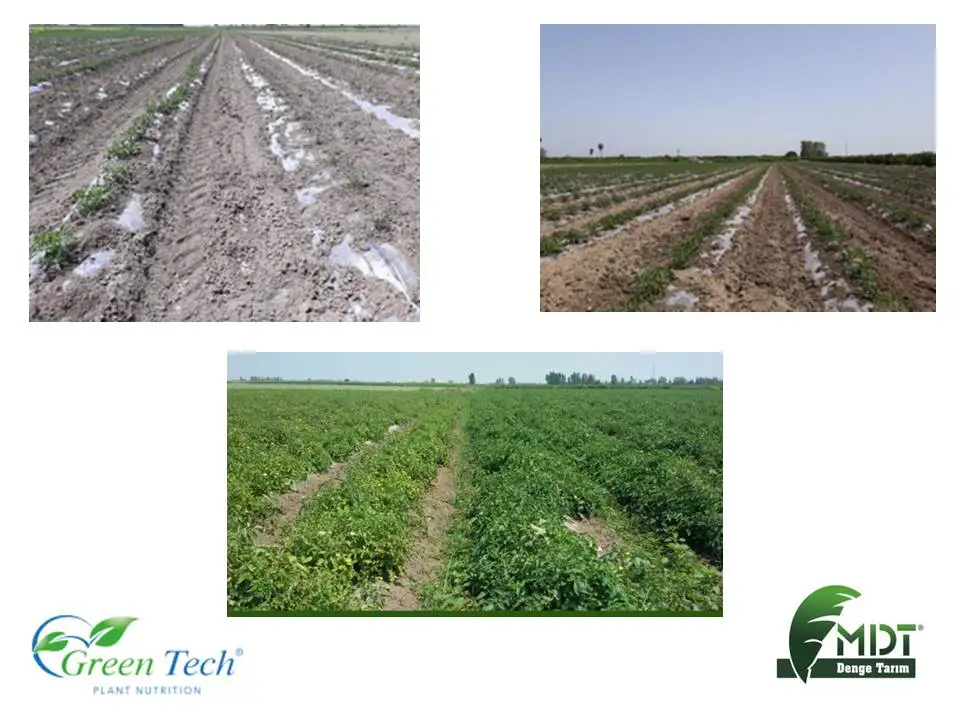 MDT-  Green Tech BactoFeed- BactoFeed Liquid Biologic Fertilizer Bacteria Solution - Special Fertilizer Solutions