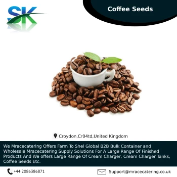 High Manufacturing Choice Wet Washed Wet-polished A18CBU-B Arabica Green Coffee Beans From Vietnam