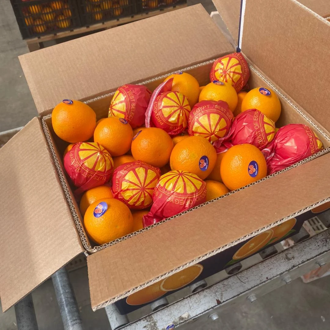 fresh valencia orange