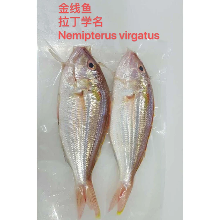 
Yellowbelly Threadfin Sea Bream Fish 