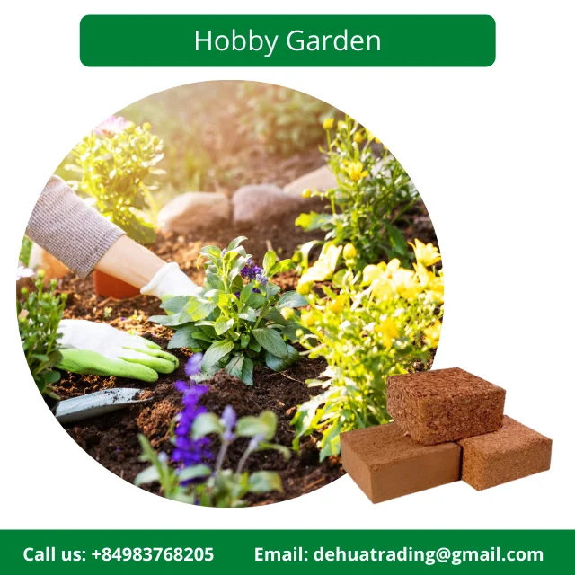 Famous Brand Bentre Coconut Coir in Vietnam Coco Peat Brick 5KG Customizable with Affordable Price