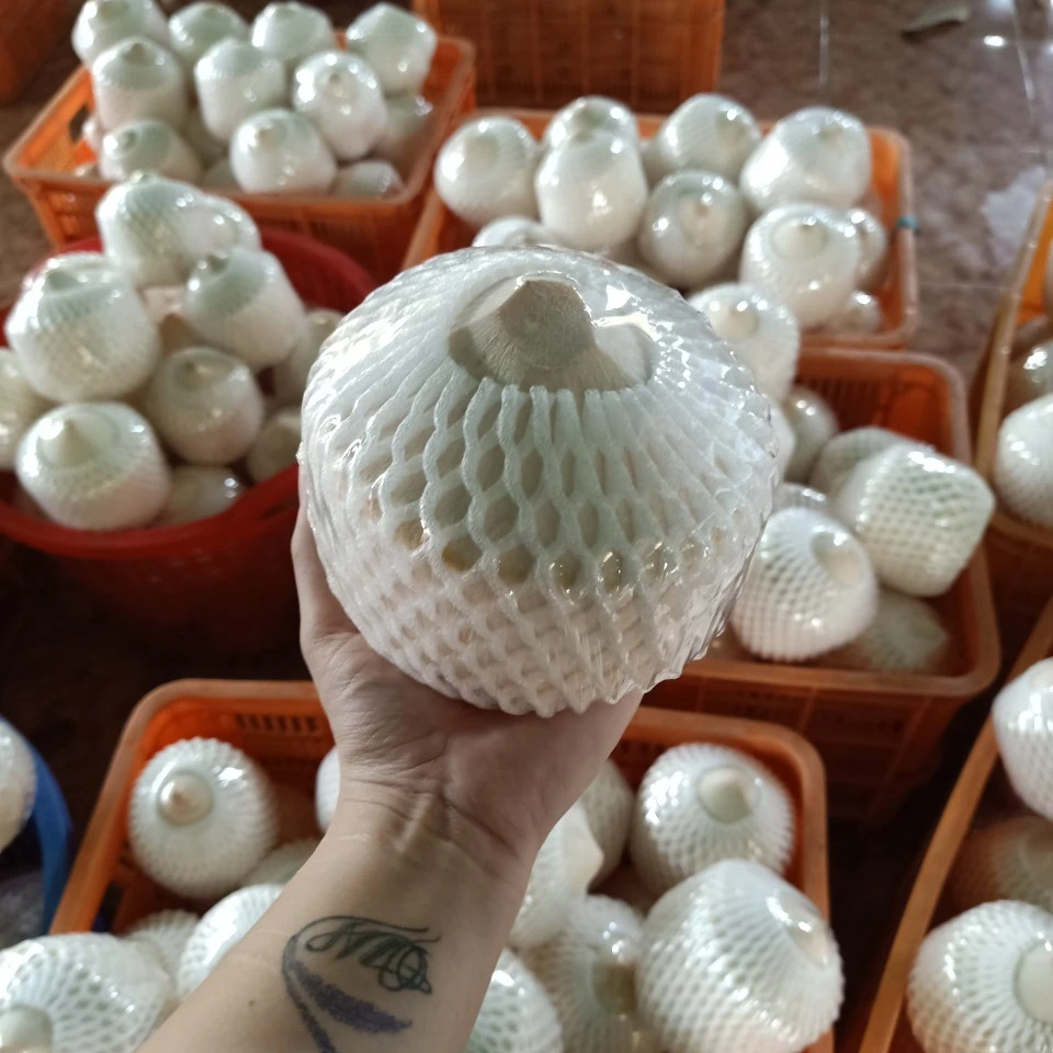 Top Quality Young Fresh Coconut Export Japan Korea Market From Viet Nam