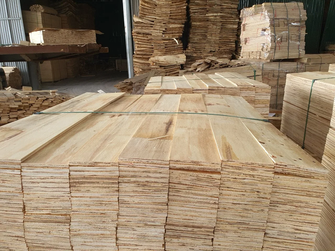 LVL making pallet from Vietnam acacia