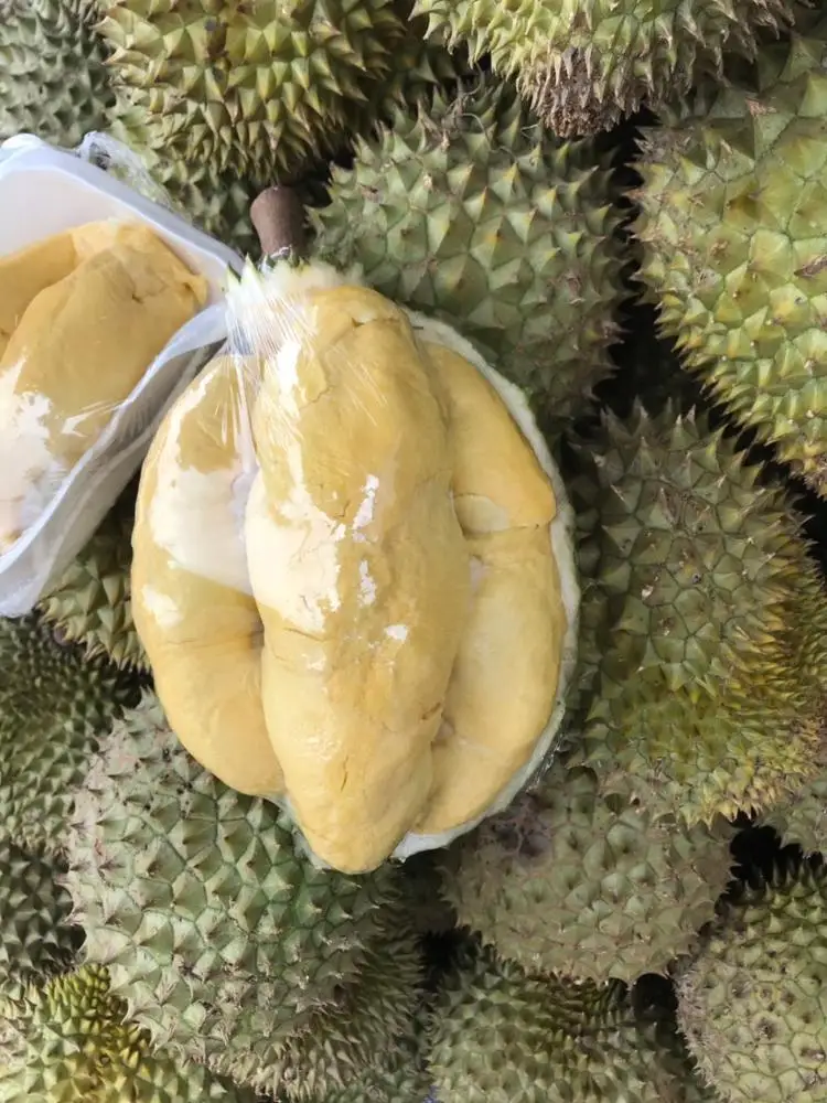 
Fresh fruit DURIAN with high quality 