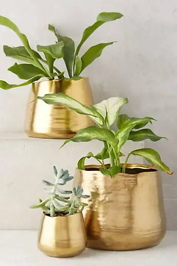 Hot selling planters flower pot galvanized gold plated round shape indoor and outdoor planter for decoration and plantation