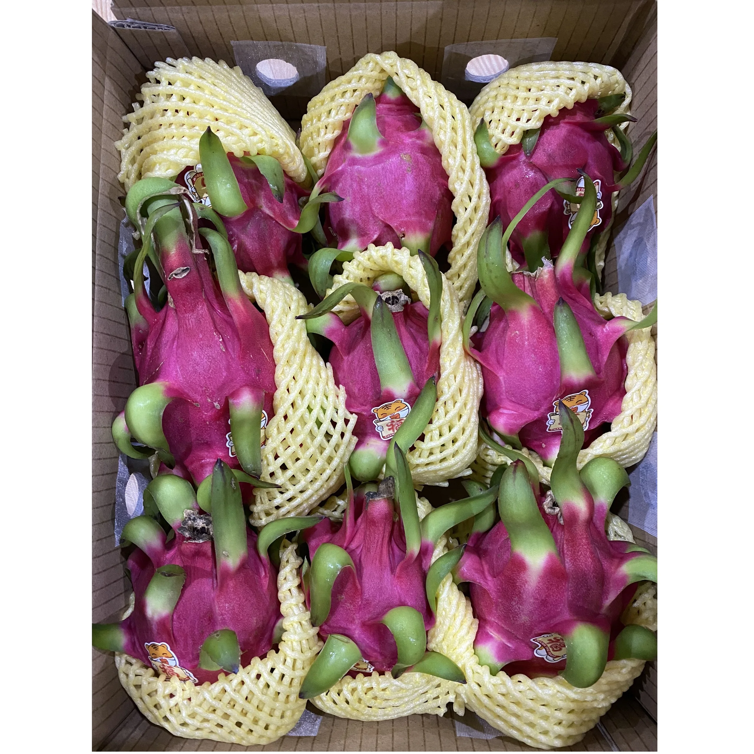 4.5kg/box Packaging Red and Green Sweet Taste Red flesh/ White flesh Variety Dragon fruit Export From Vietnam