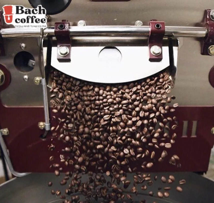 High Altitude Specialty Whole Bean Coffee Medium Roast -  Best Arabica Coffee Beans  Coffee For Espresso, Cold Brew and more