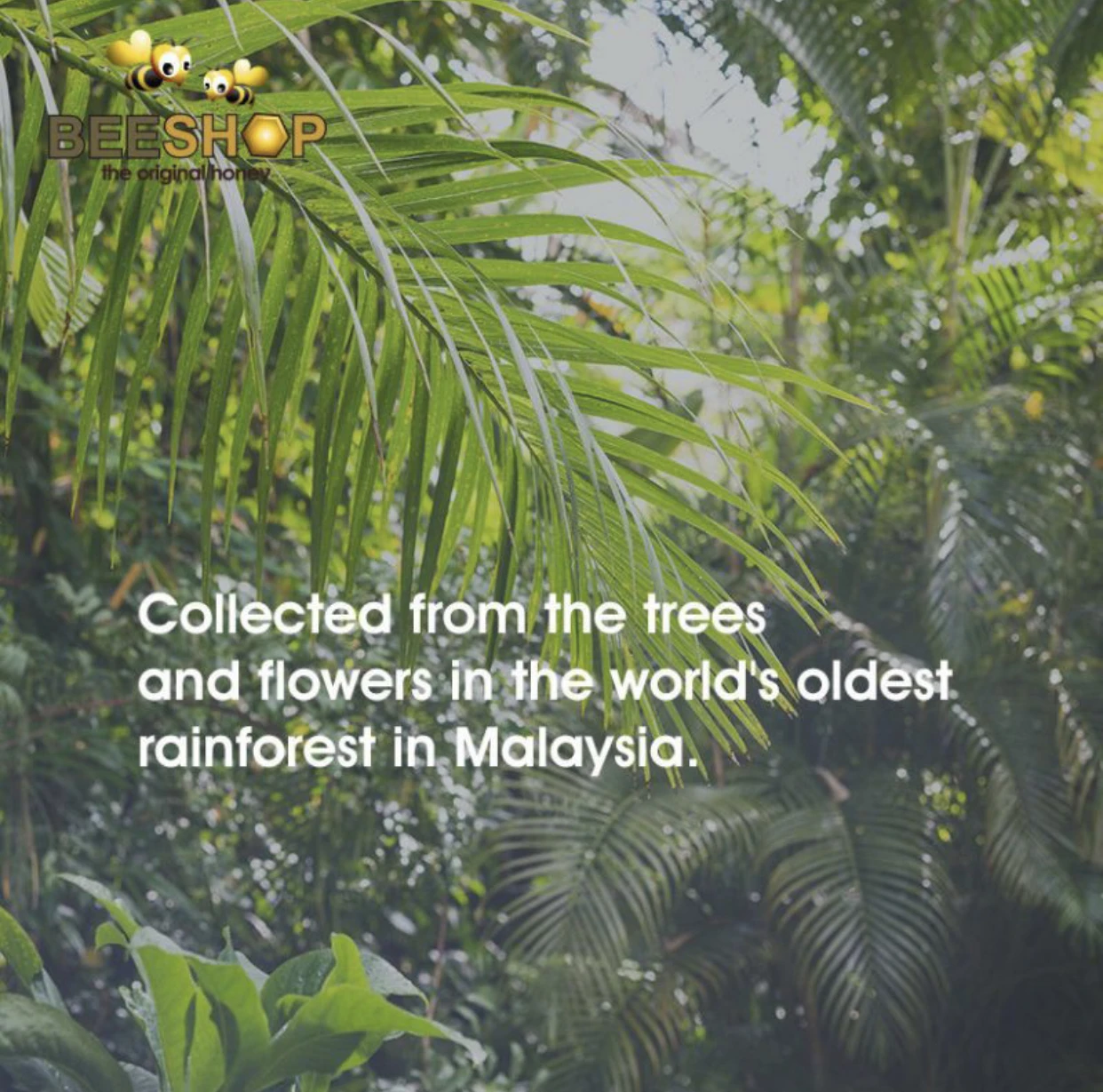 Hot Selling Malaysia Eco Bee Pollen 100% Pure 100g Halal GMP Certificate Original Multivitamin Supplement