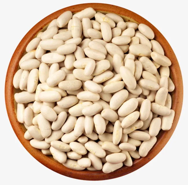 
Best Quality White Butter Beans At Low Cost Bulk Price 