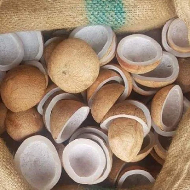 Best Selling Coconut White Copra Edible 4-9 cm Origin Indonesia