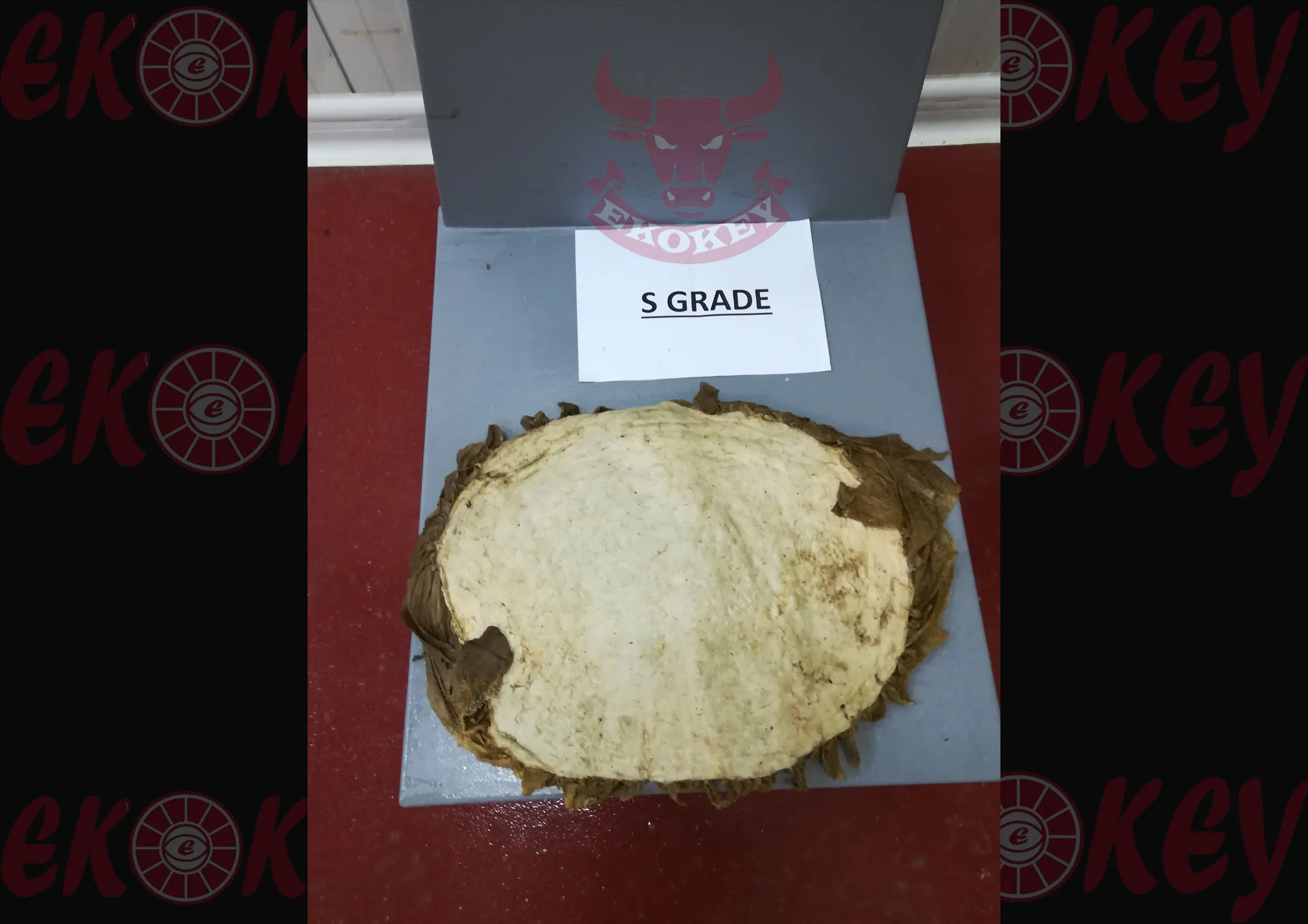 SALTED BEEF OMASUM HIGH QUALITY SALTED BEEF OMASUM A GRADE AA GRADE S GRADE NO BURN PRODUCT ORIGIN MONTENEGRO OMASUM 2022