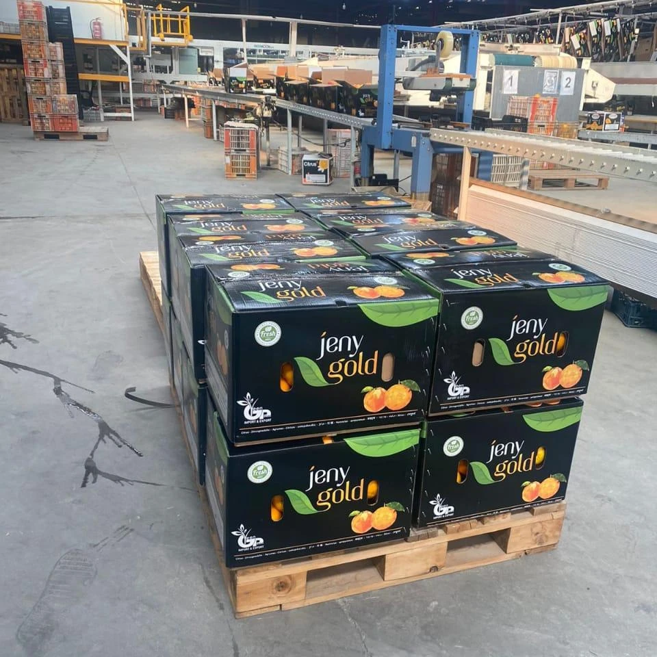 Egyptian orange for exporting