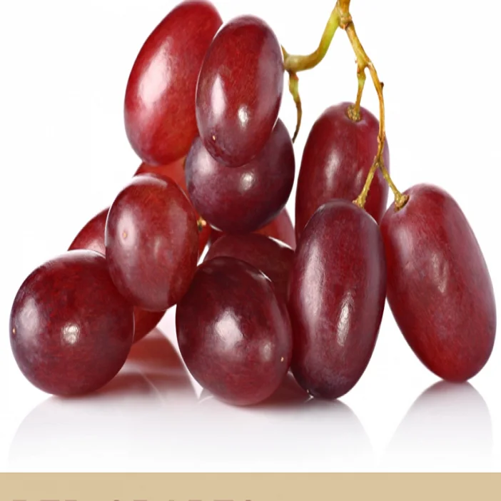 Fresh Green Grapes / Quality Juicy