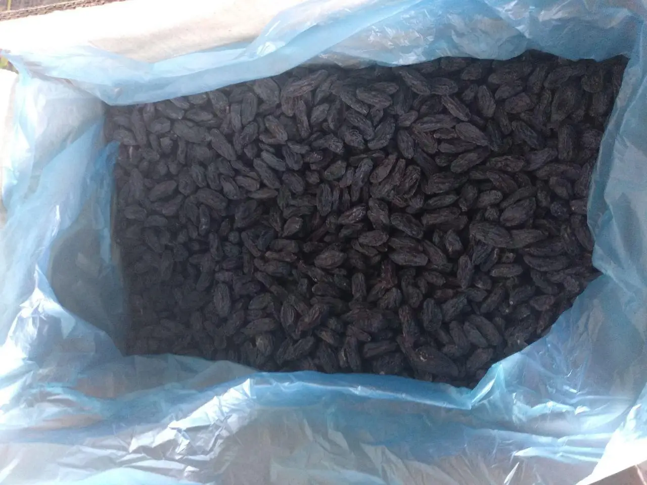 Black raisin from Uzbekistan