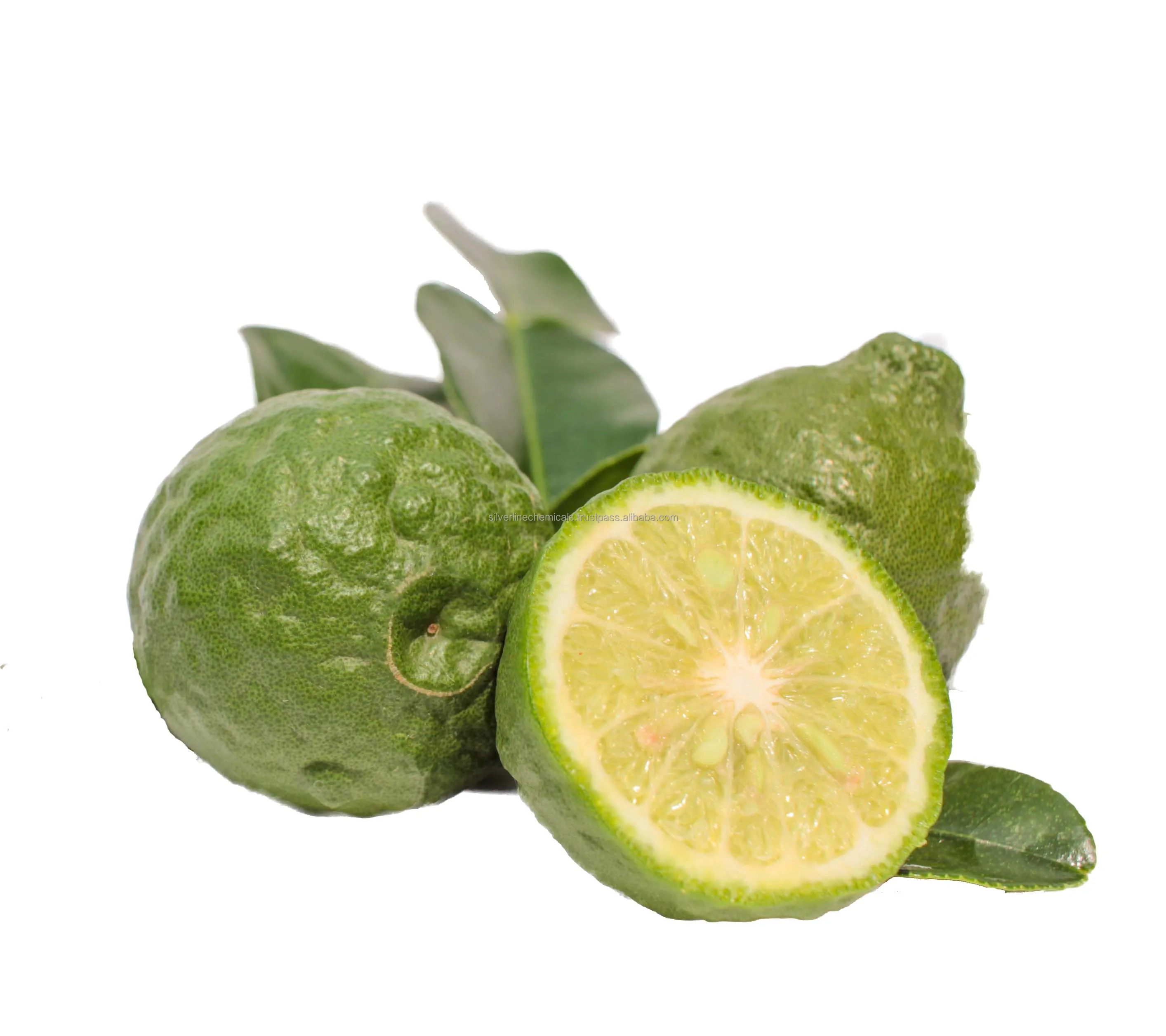 Bergamot Essential Oil