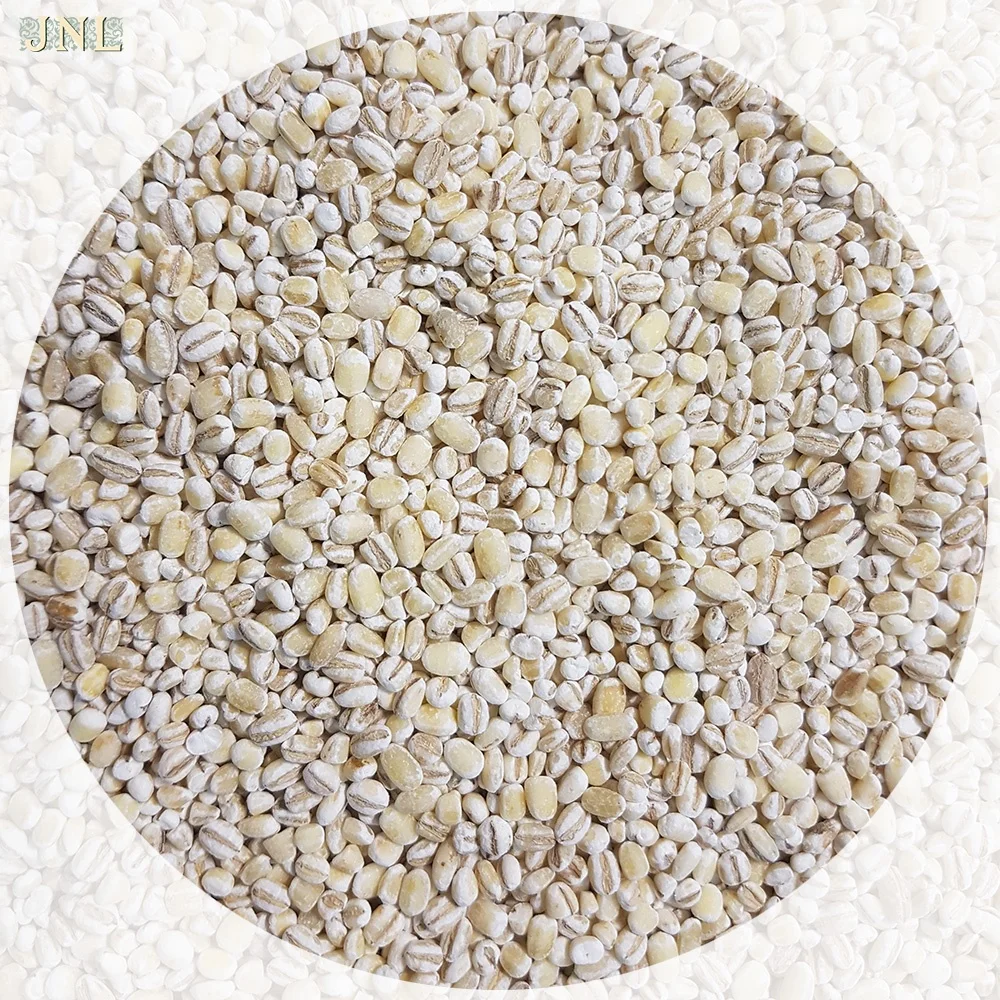 
Natural Barley Grain 