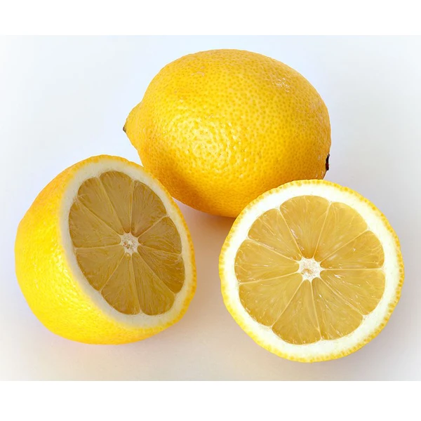 Wholesale Citrus Fruit Fresh Lemon