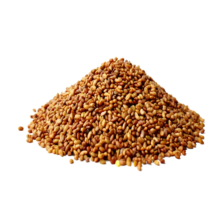 
 Hot Selling Export Quality Natural 99% Purity Alfalfa Seeds for Wholesale Purchase  