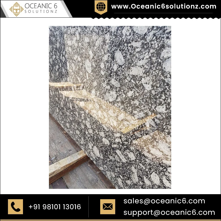 Platinum White Natural Stone Granite Cut to Size Thick Slabs Countertops for Indian Granite Buyers
