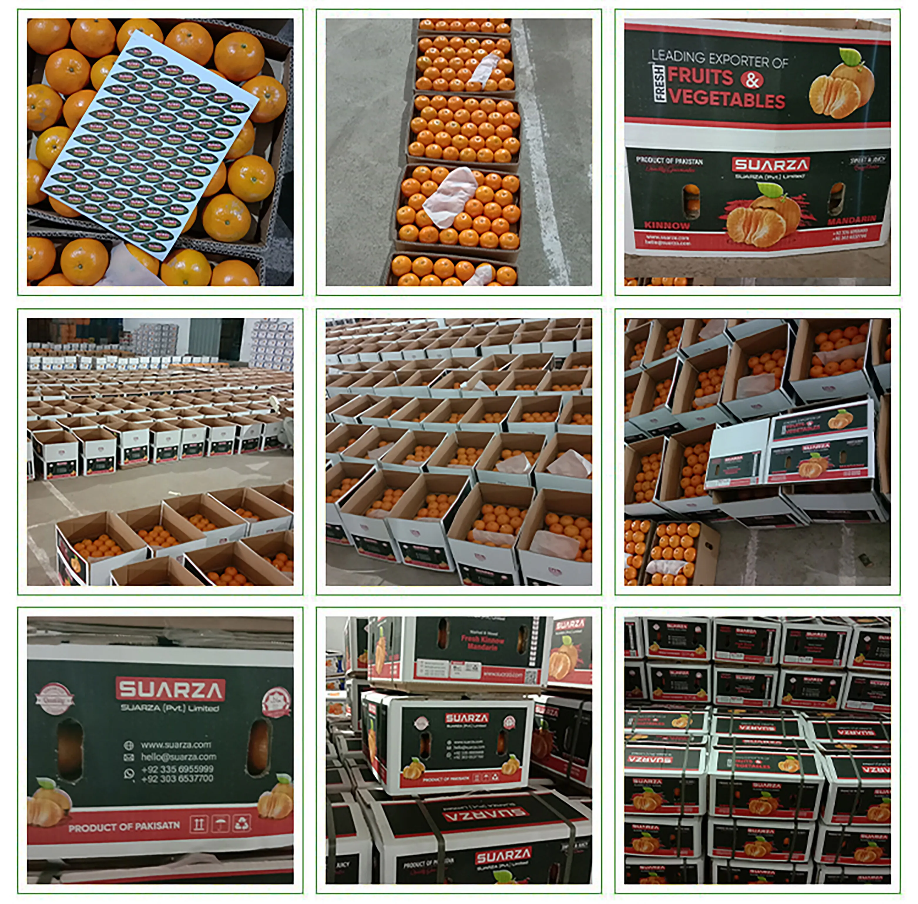 KINNOW 2 (2) (1).jpg