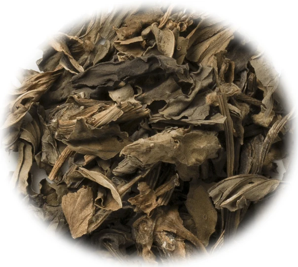 Commercial health tea Plantago asiatica L.