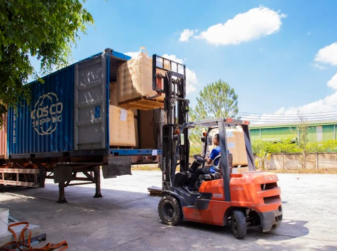 
Coffee bean Robusta G2 5% 