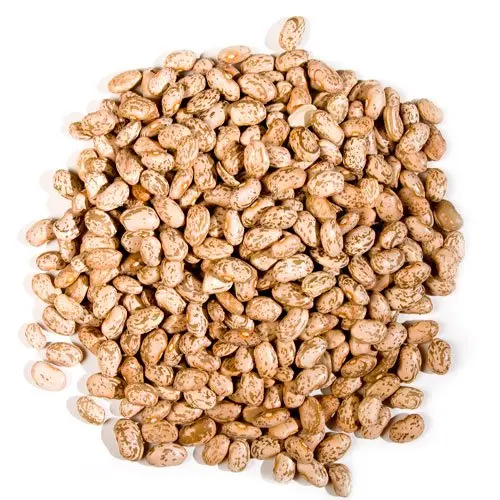 
Fresh High Quality Pinto Satillo Kidney Beans 